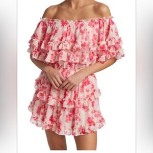 MISA LOS ANGELES
Isella Floral Georgette Mini Dress